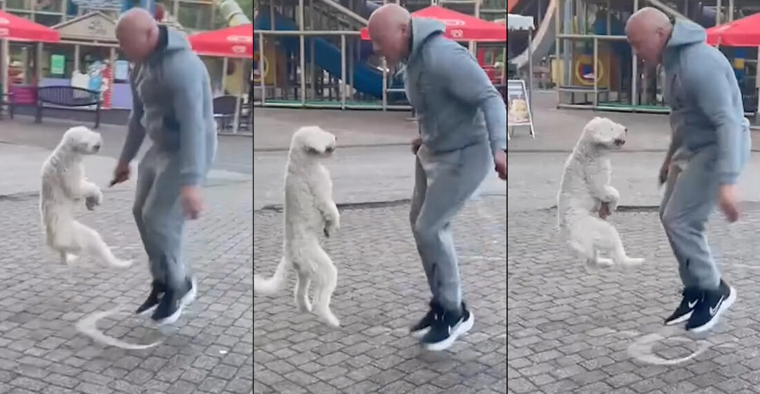 Dog Sets New World Record For Most Jump Ropes On Hind Legs In 30 Seconds