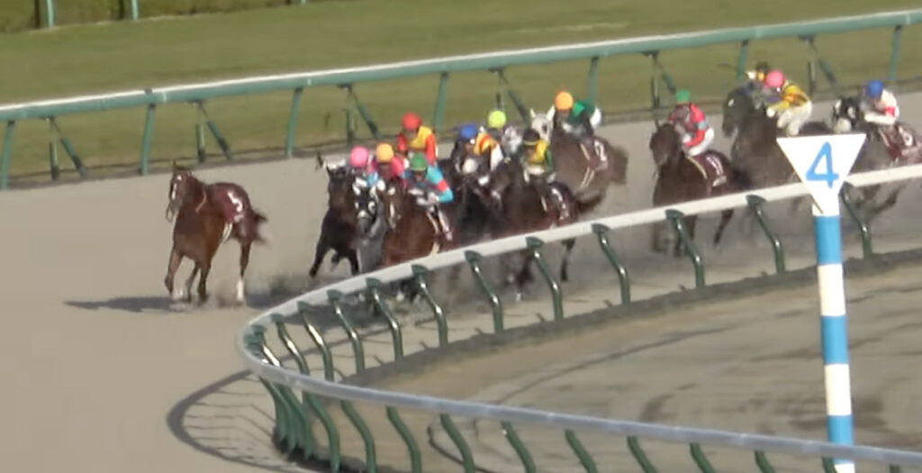 Horse Loses Jockey At Starting Gate, Wins Race By Itself