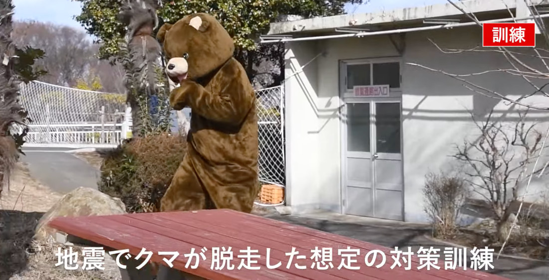 Japan Zoo Uses Worker In Bear Costume To Practice Escaped Animal Drill