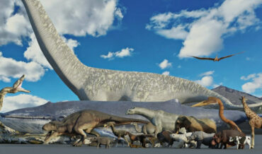 Visualization Comparing The Size Of 150+ Extinct And Extant Animals
