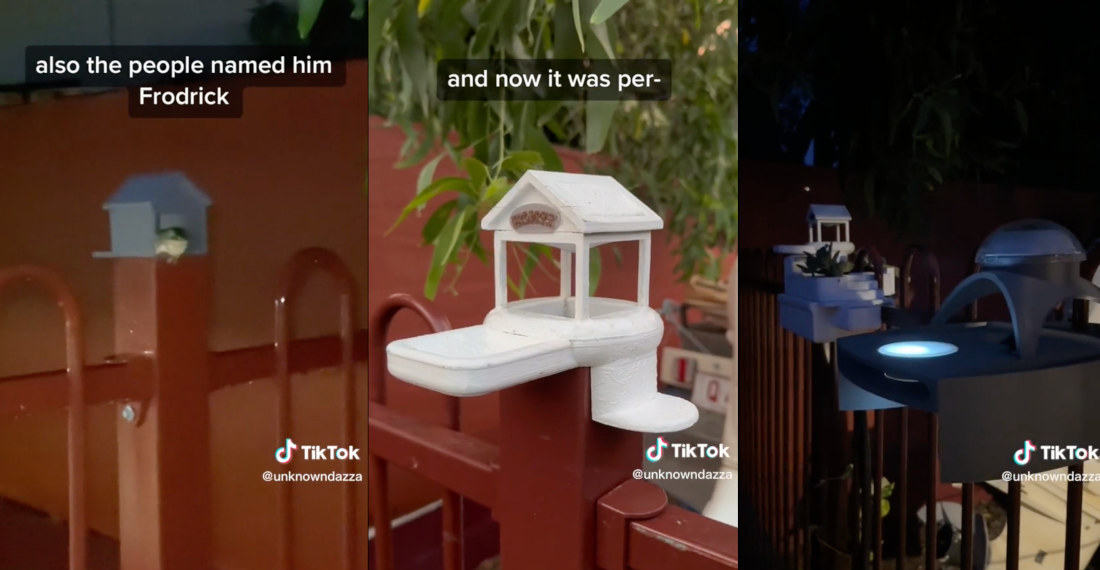 Follow One Man’s Journey To Build The Perfect House For A Frog In His Yard