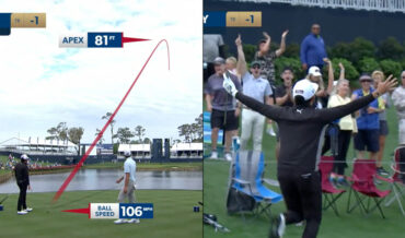 Pro Golfer Sinks Hole In One During Players Championship