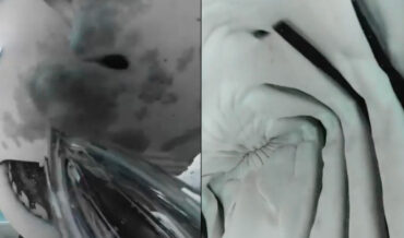 Shark Grabs 360-Degree Camera, Providing Close-Up Of Mouth’s Interior