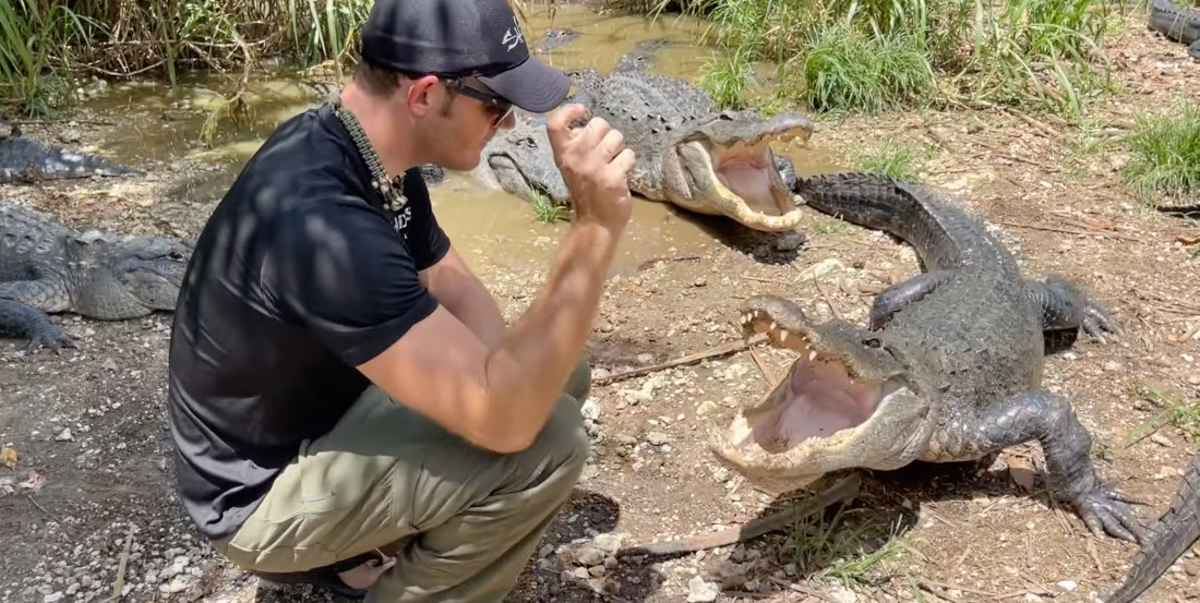 Alligator Whisperer Casually Hand-Feeds Gators While Discussing Gator Safety