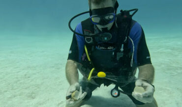 Cracking An Egg 12 Meters Underwater