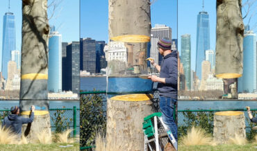 Artist Makes Tree Disappear Into New York City Skyline