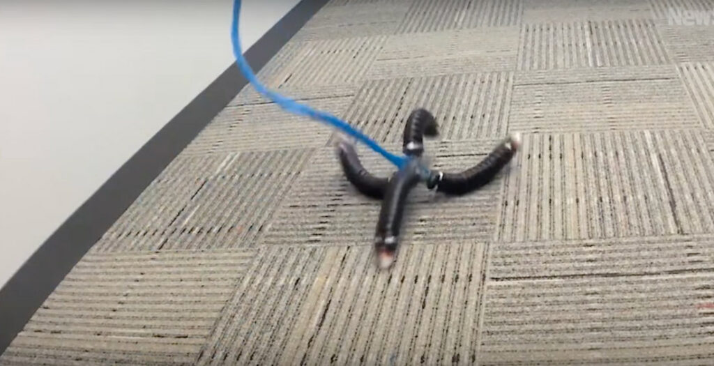 Energy Efficient Robot Moves Like A Seal
