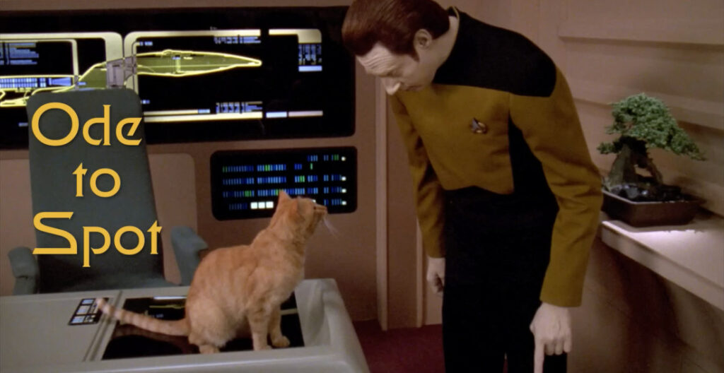 A Supercut Of Data's Cat Spot On Star Trek: The Next Generation