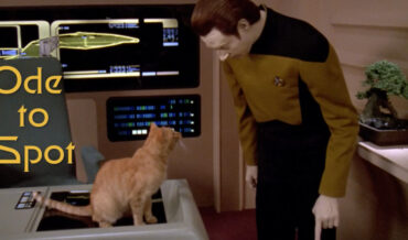 A Supercut Of Data’s Cat Spot On Star Trek: The Next Generation