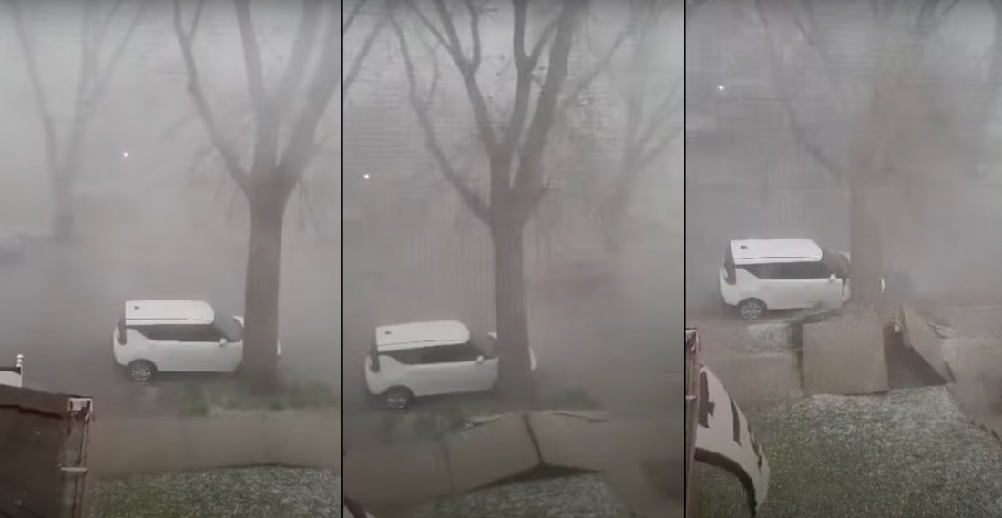Tree Casually Uproots Sidewalk, Lays On Car’s Hood During Storm