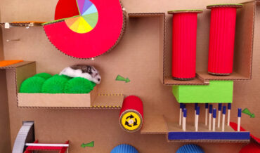 Pet Hamster Navigates Colorful Obstacle Course