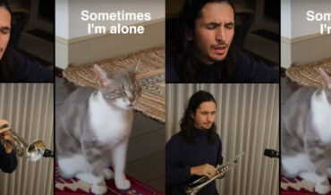 Cat Saying ‘Sometimes I’m Alone’ Gets Turned Into Song