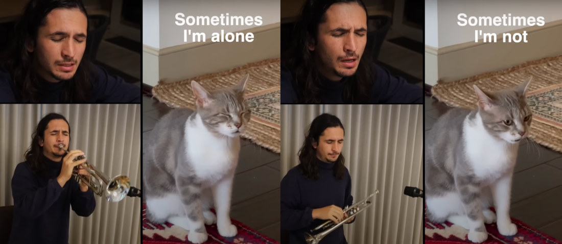 Cat Saying ‘Sometimes I’m Alone’ Gets Turned Into Song