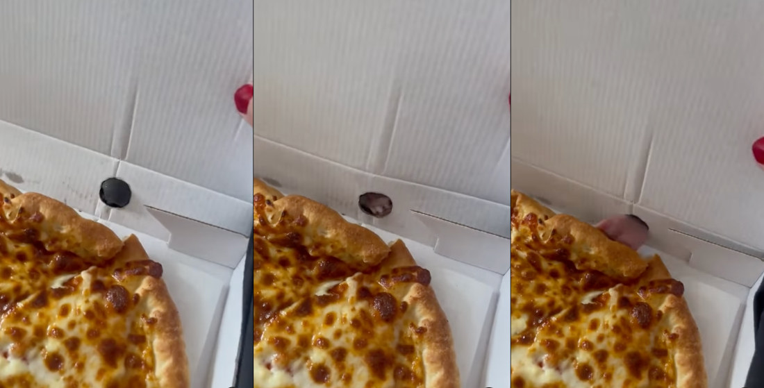 Dog Does Its Best To Lick Pizza Through Vent Holes In Box
