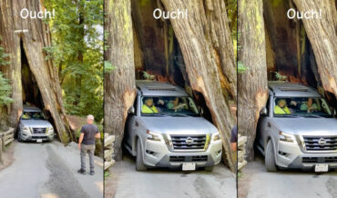 Tourist Nearly Gets SUV Stuck In Drive-Through Redwood Tree