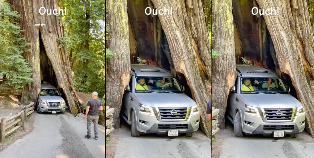 Tourist Nearly Gets SUV Stuck In Drive-Through Redwood Tree