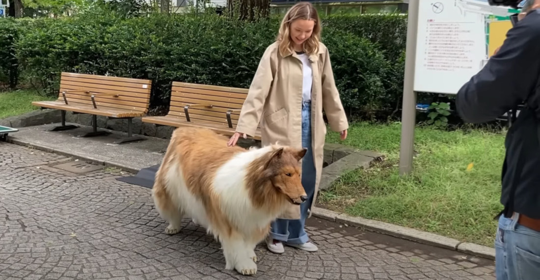 Dogs And People React To Man Wearing Super Realistic Dog Costume