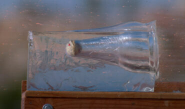 Shooting Cannon-Fired Cue Balls Into Ballistics Gel In Ultra-Slow Motion