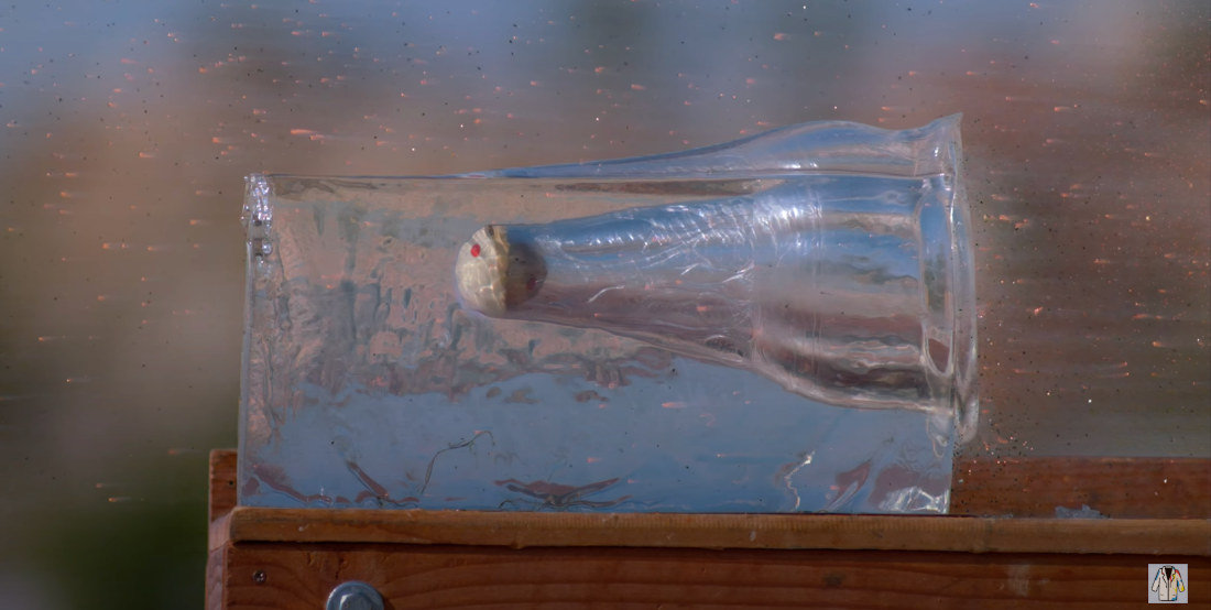 Shooting Cannon-Fired Cue Balls Into Ballistics Gel In Ultra-Slow Motion
