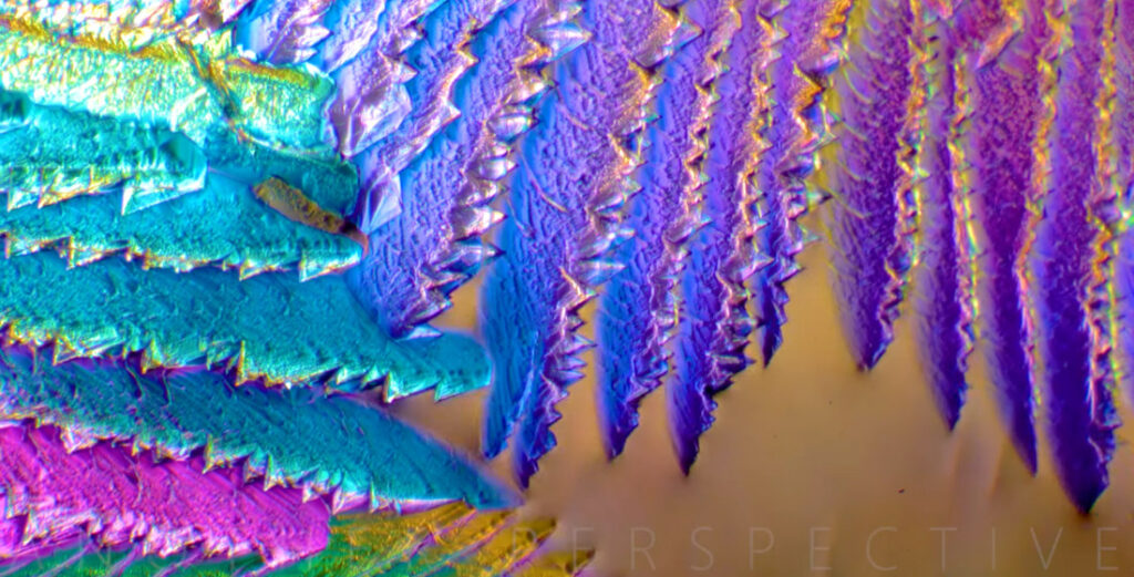 Timelapse Of Colorful Crystals Forming