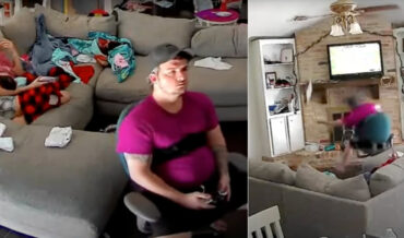 Dog Trips Over Game Console Cord, Brings System Crashing Down