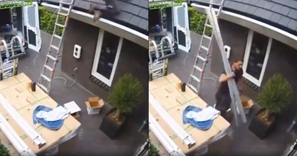 Man Makes Perfect Fall Off Roof