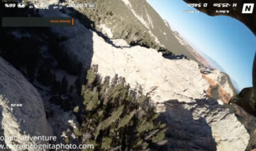 No Fly Zone: Eagle Grabs Drone Out Of The Sky