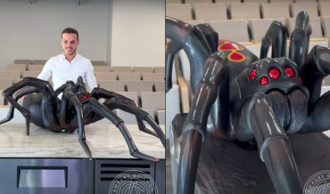 Giant Spider Made Entirely From Chocolate