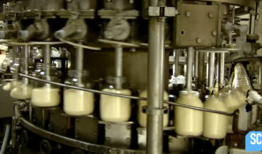 How It’s Made: Mayonnaise