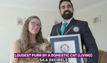 Cat Sounds World Record For Loudest Purr At 54.59 Decibels