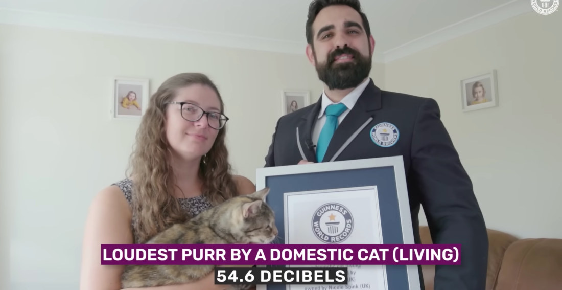 Cat Sounds World Record For Loudest Purr At 54.59 Decibels