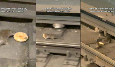 Awwww: NYC Subway Rat Shares Track Donut With Friend