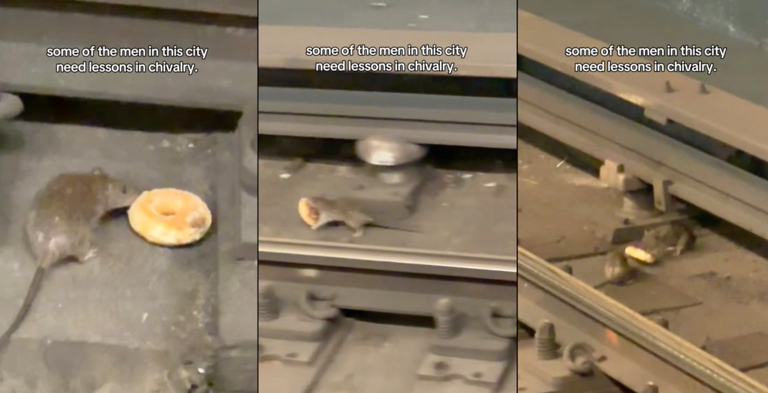 Awwww: NYC Subway Rat Shares Track Donut With Friend