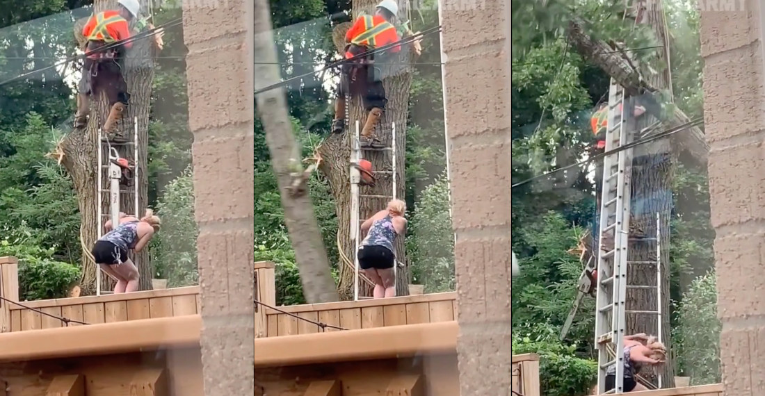Not Today, Death: Tree Cutting Goes Horribly Wrong
