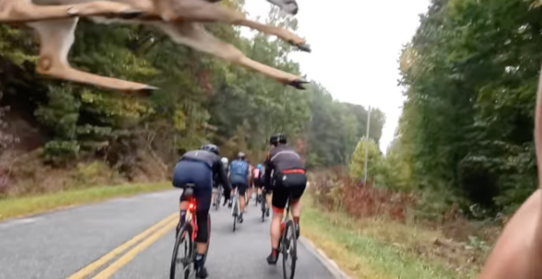 Surprise!: Deer Leaps Over Road Cyclist