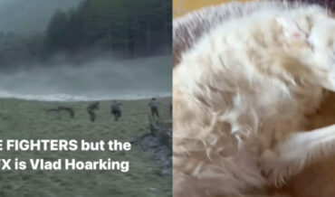 Hoarking Dog Provides Sound Effects For Star Wars TIE Fighters