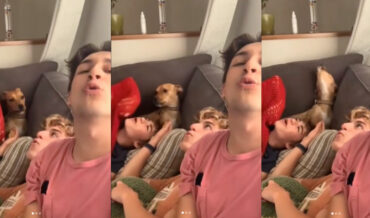 Dog Patiently Waits His Turn To Howl With The Boys