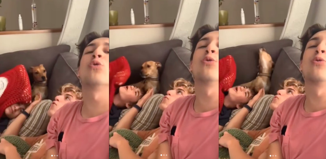 Dog Patiently Waits His Turn To Howl With The Boys