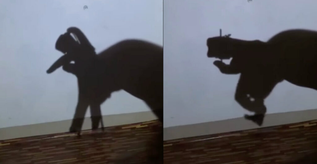 Man's Ultra Impressive Dancing Shadow Puppet Skills
