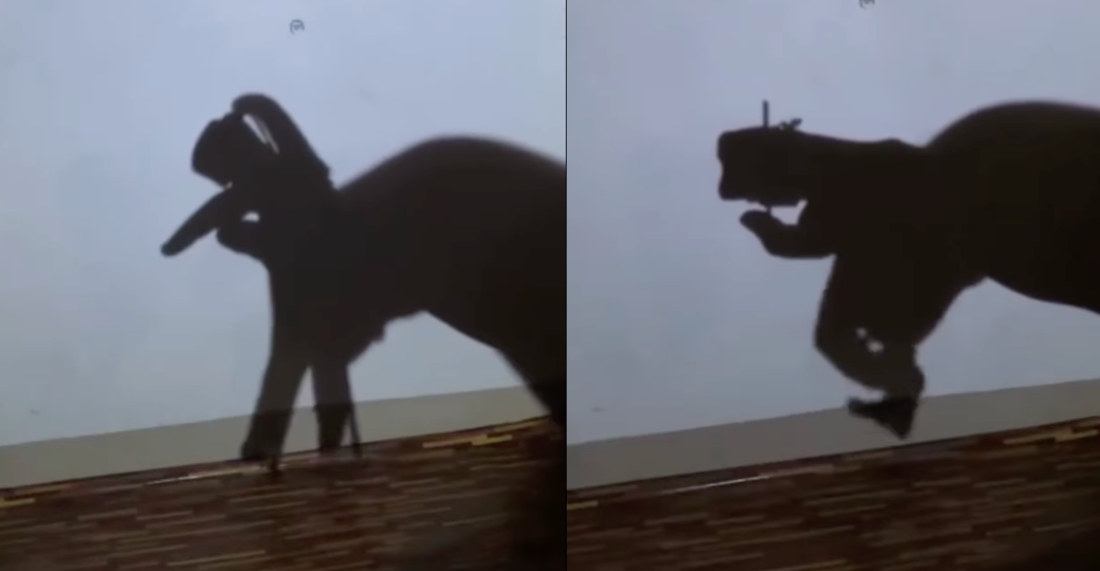 Man’s Ultra Impressive Dancing Shadow Puppet Skills