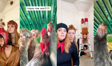 Side-By-Side Comparison Of Dancers Recreating Dancing Chicken Moves