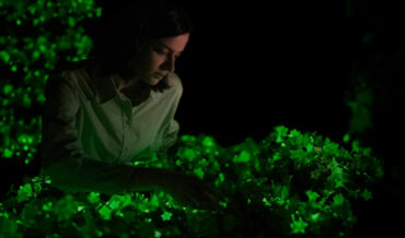 USDA Approves Sale Of Glowing Bioluminescent ‘Firefly’ Petunias Infused With Mushroom DNA