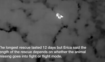 Real Life Pet Detective Uses Thermal Imaging Drone To Locate Over 330 Lost Dogs