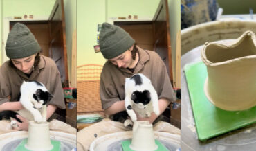 Cat Helps Add Artistic Touches To Clay On Pottery Wheel
