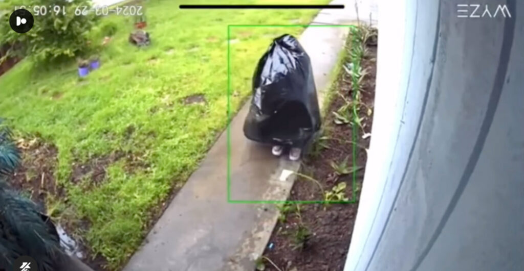 Porch Pirate Disguised As Trash Bag Steals Package