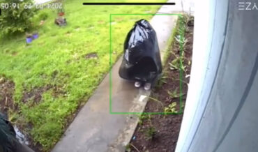 Porch Pirate Disguised As Trash Bag Steals Package