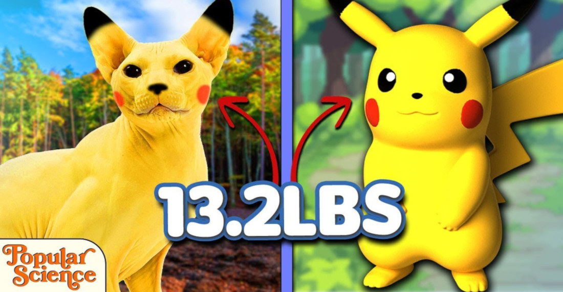 Comparing Pokemon To Real Animals That Weigh The Same