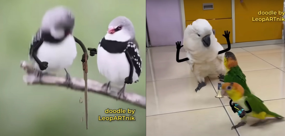 More Birds With Arms Added Doing Human Things