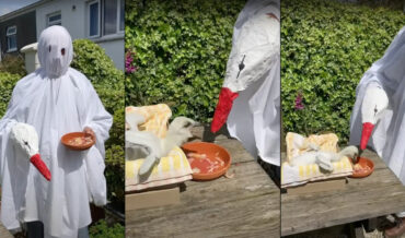 Bird Rehabilitator Dressed As Ghost Uses Stork Puppet To Feed Baby