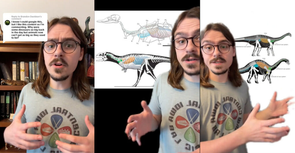 Guy Breaks Down Why Dinosaurs Were Able To Grow So Gigantic